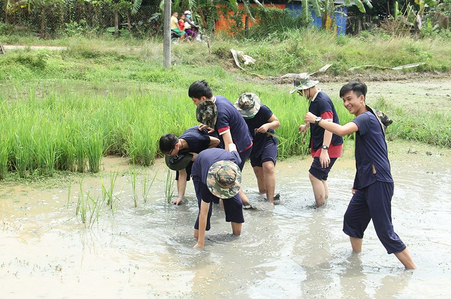 Khu trải nghiệm cho trẻ mầm non: Nông Trại Hoa Lúa