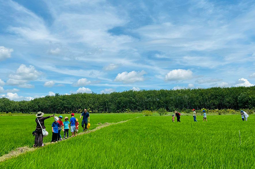 Khu vui chơi dã ngoại cho trẻ em: Nông Trang Xanh