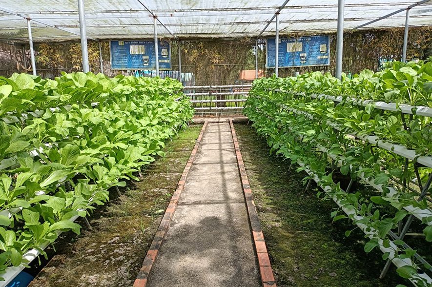 Khu sinh thái giáo dục Về Quê