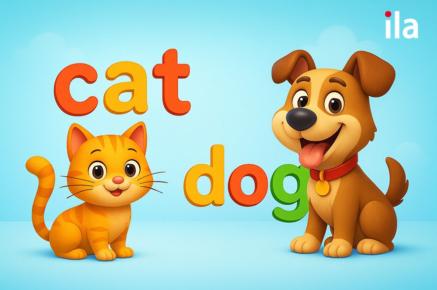 Dạy bé học chữ cái từ 3 tuổi: Bí quyết con vừa học vừa chơi