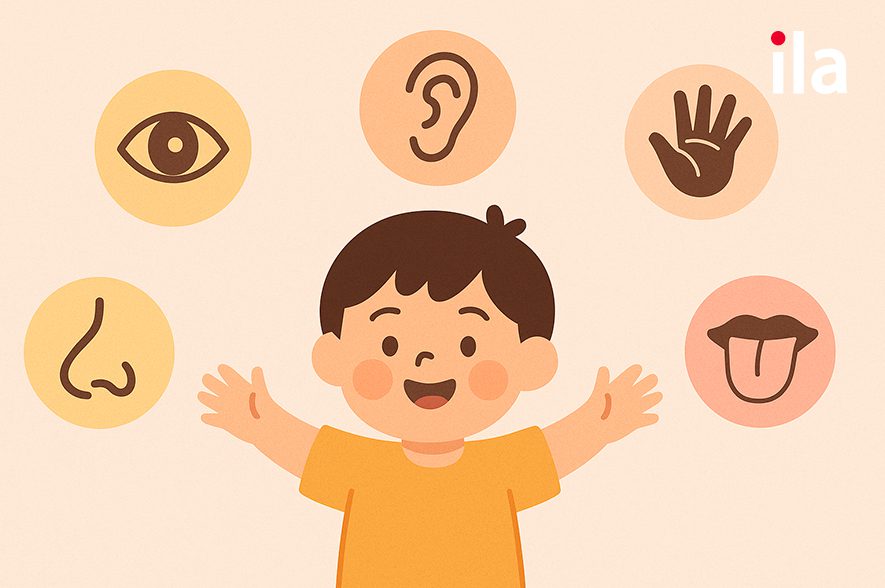Phát triển toàn diện 5 giác quan