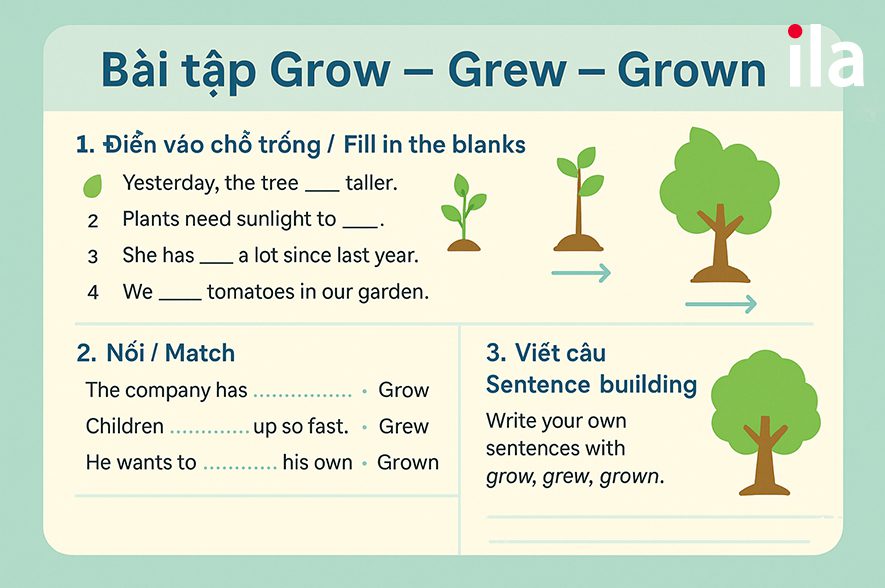 Bài tập Grow, Grew, Grown
