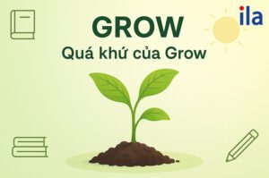 Quá khứ của Grow 