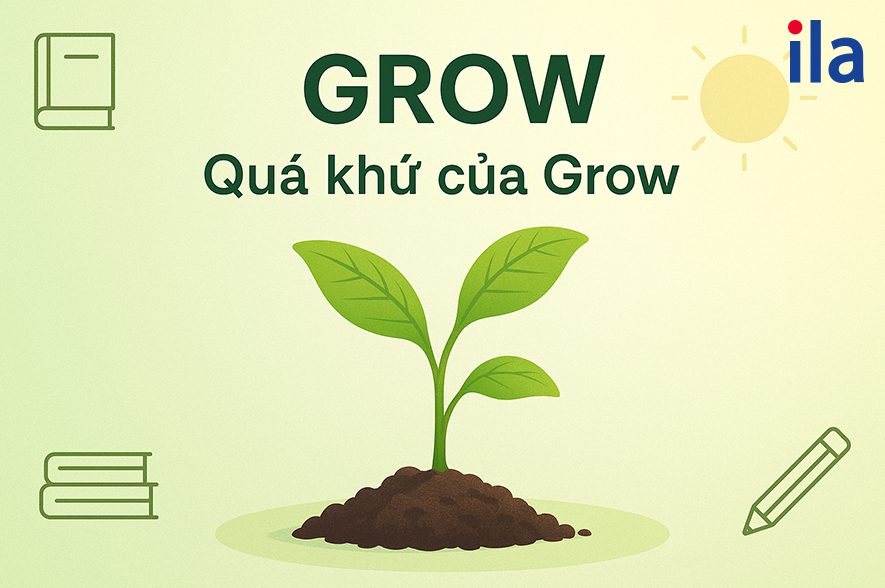 Quá khứ của Grow 