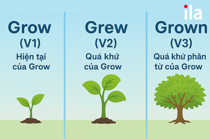 Grow (V1), Grew (V2) và Grown (V3)