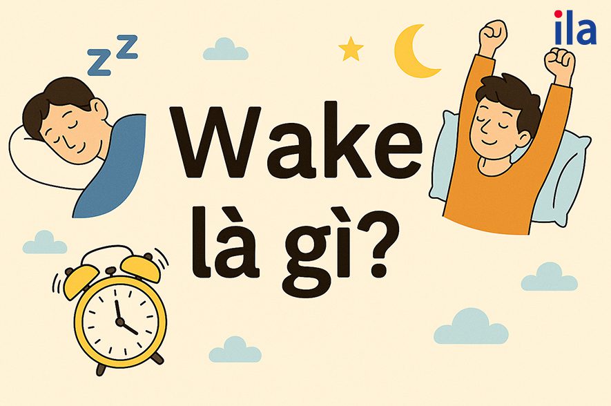 Wake là gì?