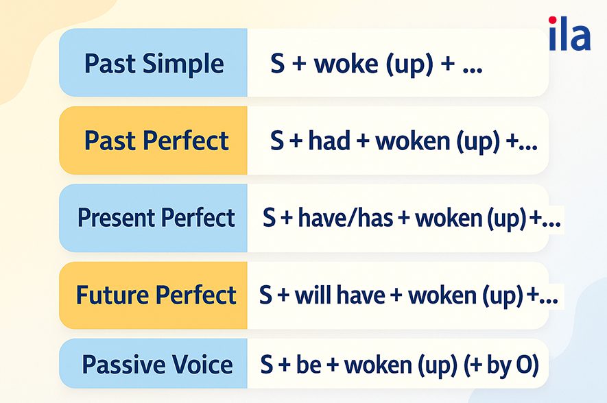 Cách dùng chi tiết (các thì và cấu trúc)
