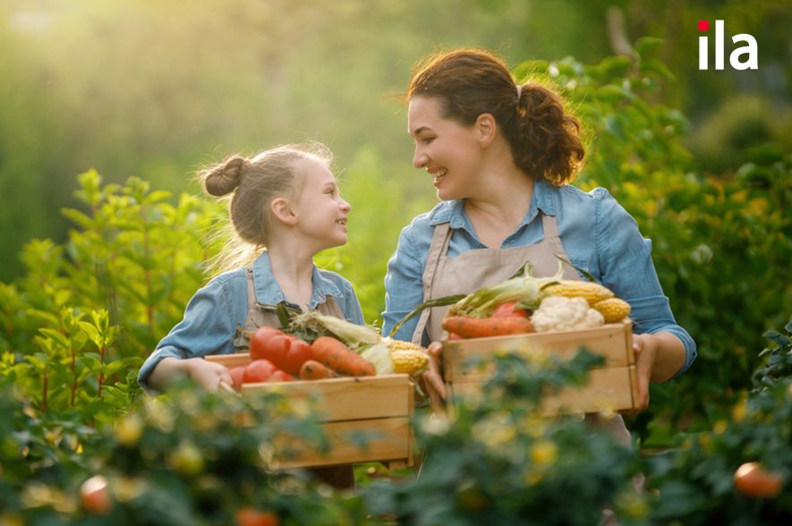 mẹ con bê rau củ quả