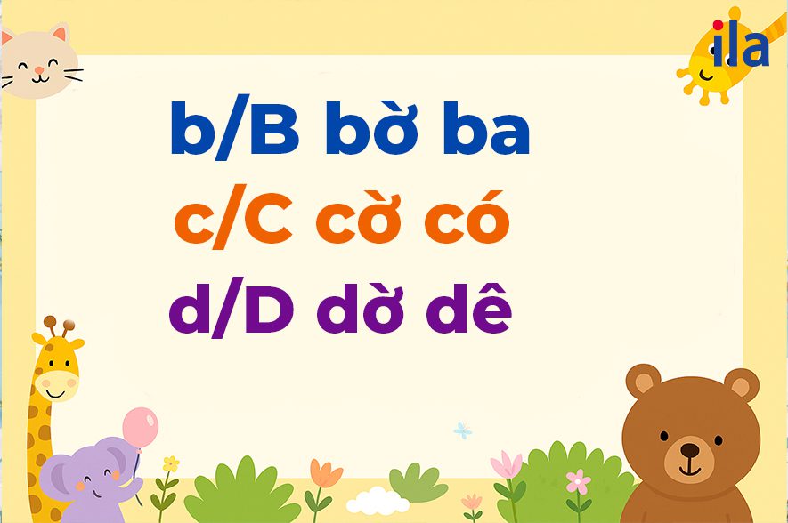 Phụ âm đơn trong tiếng Việt