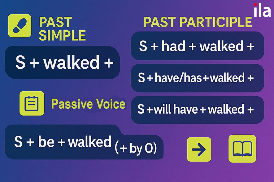 Cách dùng chi tiết (các thì và cấu trúc)