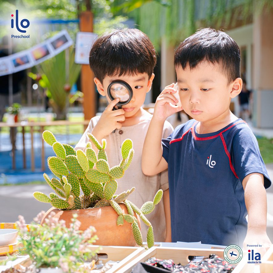 Gợi ý tên mệnh Mộc cho bé trai ý nghĩa, ấn tượng