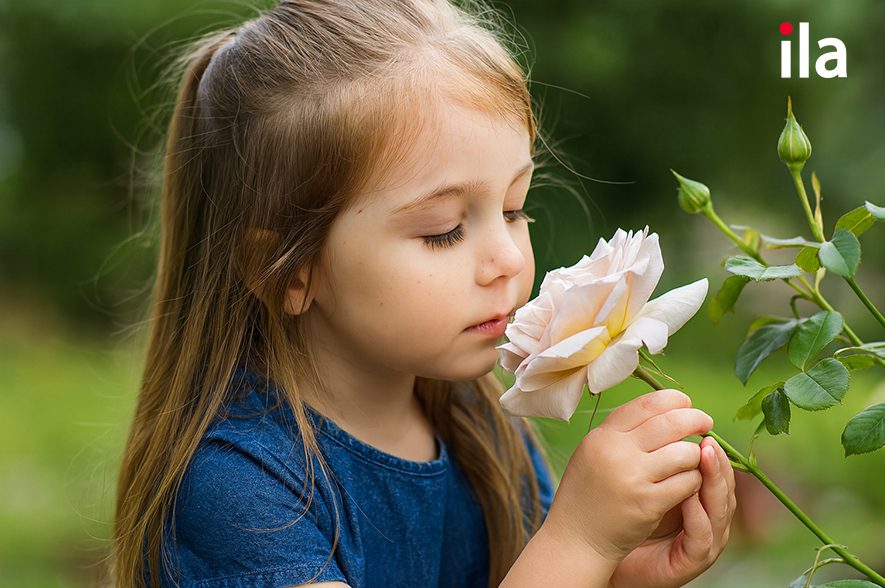 Đoán mùi (Guess the Smell)