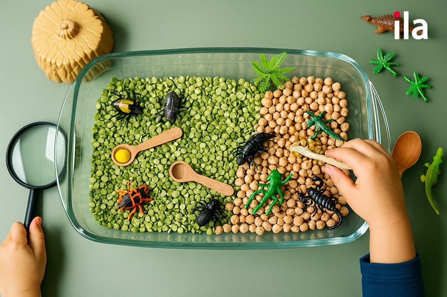 Hộp cảm giác (Sensory Bin)