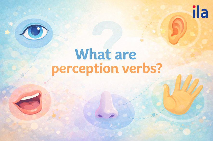 Động từ chỉ giác quan là gì?