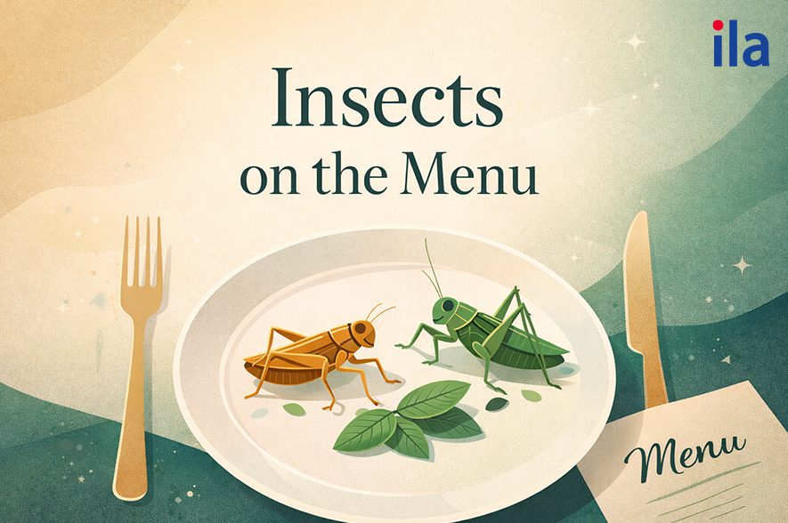 Insects on the Menu