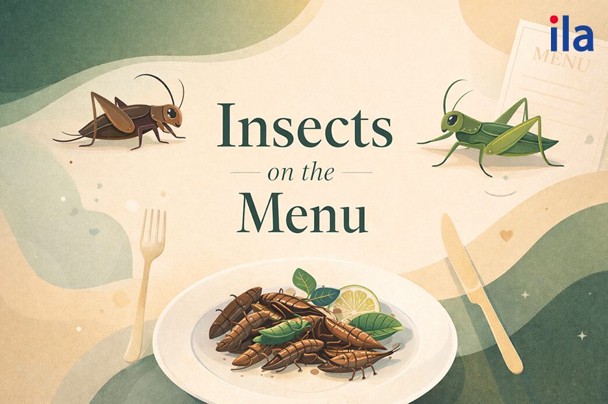 Insects on the Menu