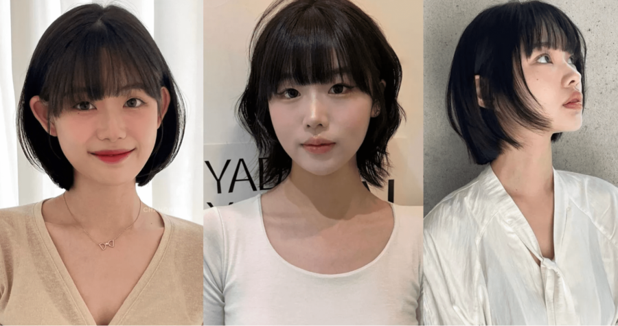 Mái bằng rẽ ngôi giữa